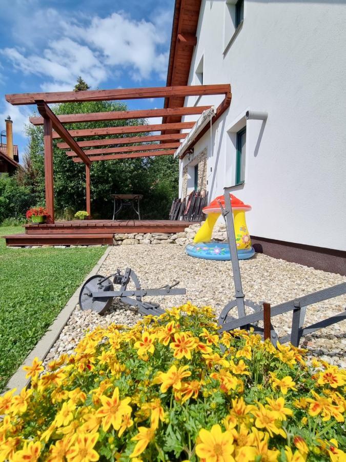 Dum A Chatka Pod Smrkem Nove Mesto pod Smrkem Kültér fotó